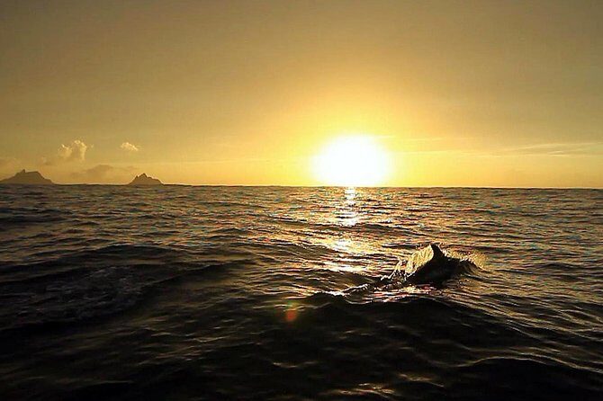 Killarney Super Saver: Dingle and Slea Head Day Trip plus Ring of Kerry and Killarney Lakes Day Trip - Guides and Reviews: What Travelers Say