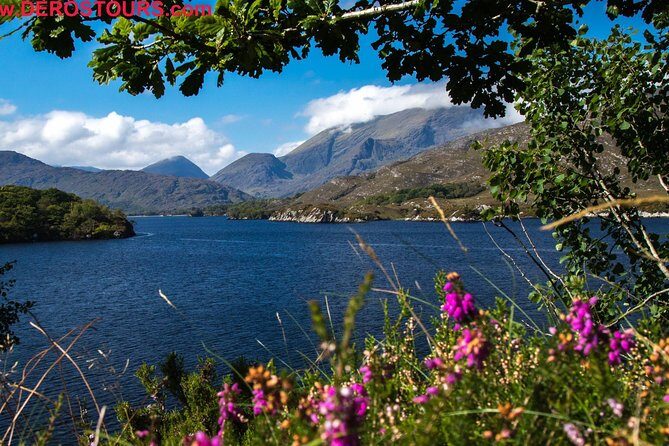Killarney Super Saver: Dingle and Slea Head Day Trip plus Ring of Kerry and Killarney Lakes Day Trip - FAQs