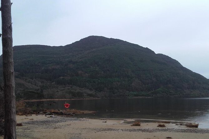 Killarney Valley & National Park - Private Tour - Who Should Consider This Tour?