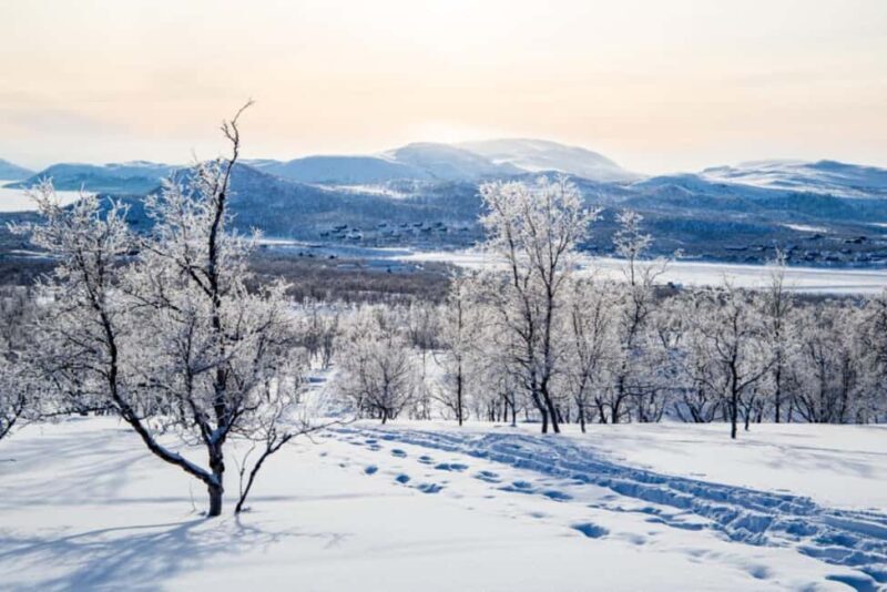 Kilpisjärvi: Guided Snowshoeing Adventure with Gear - Key Points