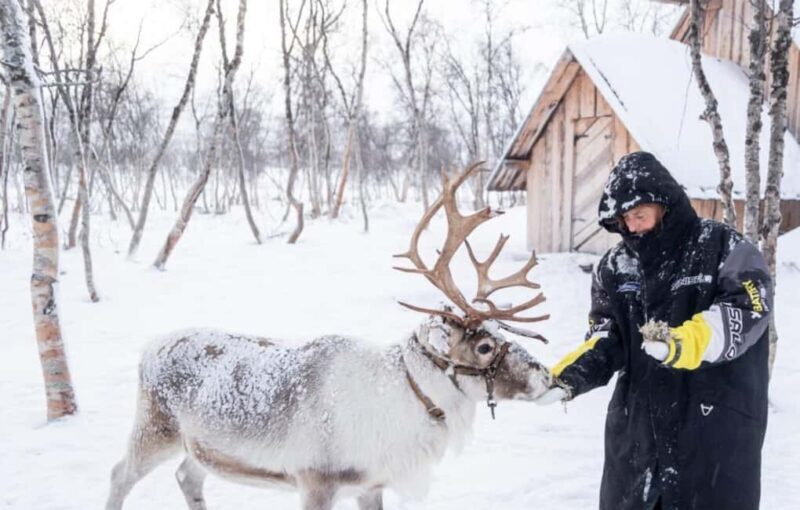 Kilpisjärvi: Sámi Culture and Reindeer Herding Tour - An Honest Look at What to Expect