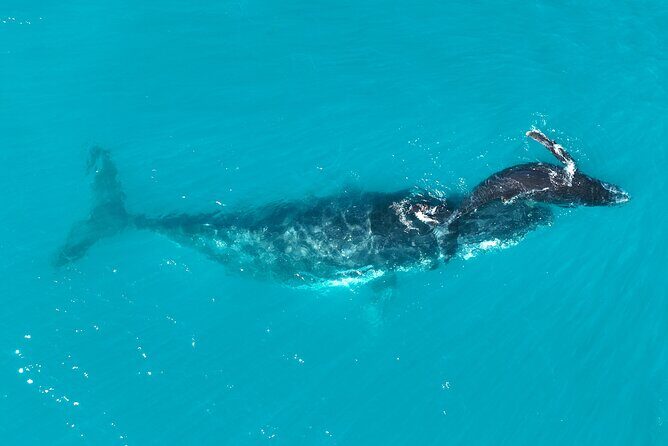 Kimberley Day Cruise Full Day Tour Departing Broome - Who Will Love This Tour?