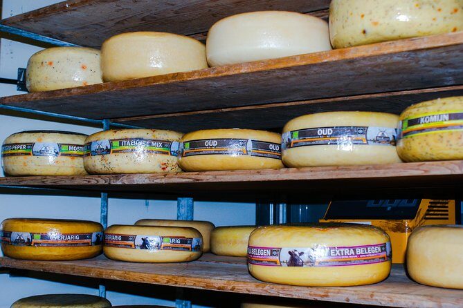 Kinderdijk Area Cycling Tour - What the Tour Includes and What to Consider