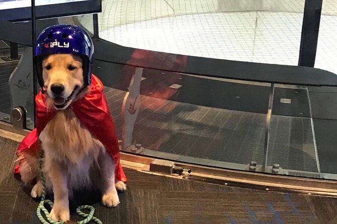 King of Prussia Indoor Skydiving with 2 Flights & Personalized Certificate - Practical Tips for Your Visit