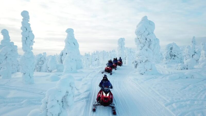 King of Ylläs: Snowmobiling to the Hill - Who Should Consider This Tour?