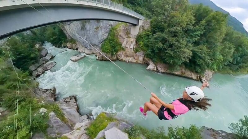 King swing 'I've got a scream' - The Highlights That Make It Stand Out