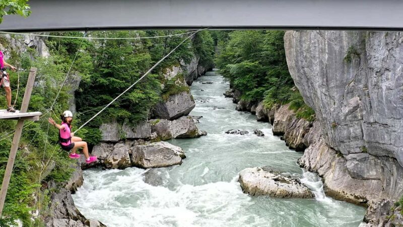 King swing 'I've got a scream' - FAQs