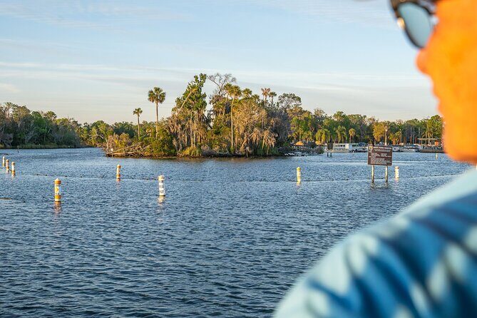Kings Bay Crystal River Eco Cruise - Exploring the Kings Bay Crystal River Eco Cruise in Detail