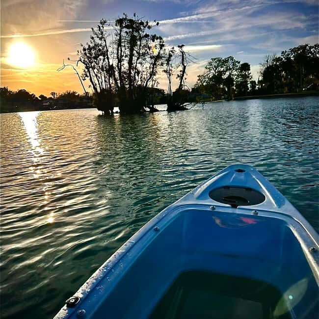 Kings Bay, Crystal River: Gentle Sunrise Manatee Kayak Tour - Key Points
