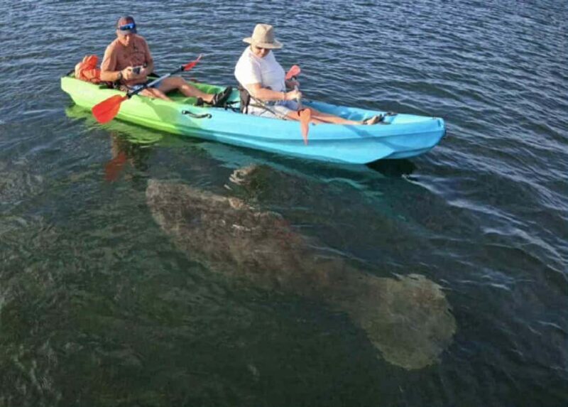 Kings Bay, Crystal River: Gentle Sunrise Manatee Kayak Tour - Who Is This Tour Best For?