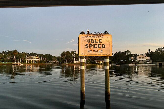 Kings Bay Manatee Watching Cruise - What Do Reviews Say?
