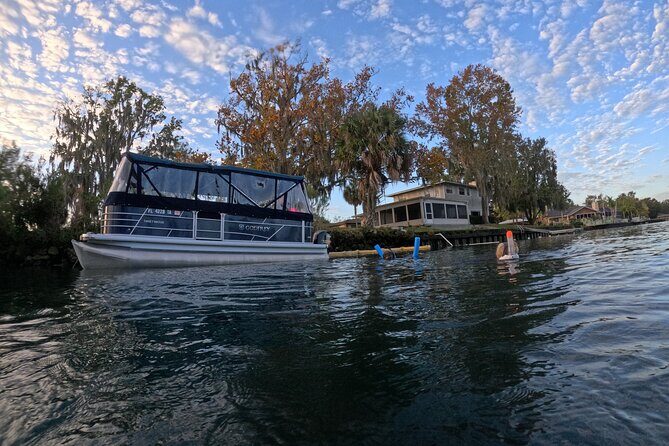Kings Bay Manatee Watching Cruise - Who Would Love This Tour?