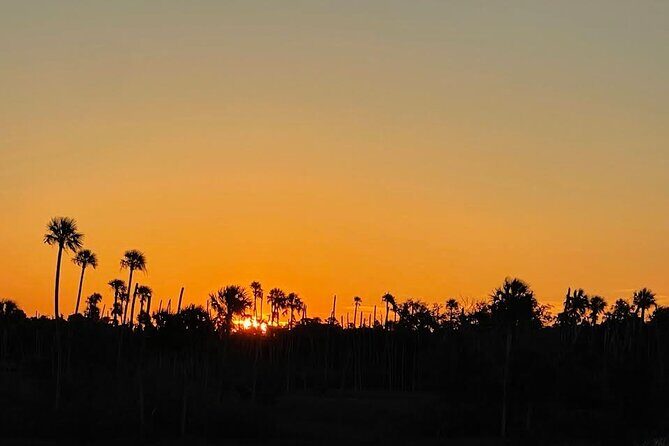 King's Bay Sunset Cruise - What to Expect on the Kings Bay Sunset Cruise