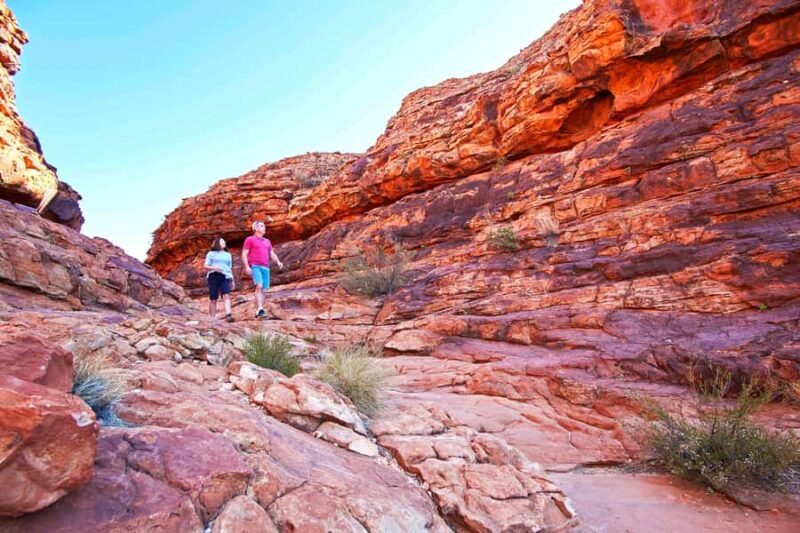 Kings Canyon: Full-Day Tour from Ayers Rock Resort - Key Points