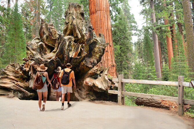 Kings Canyon National Park Self-Guided Audio Tour - The Experience on the Ground