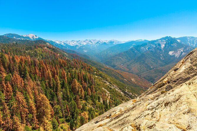 Kings Canyon National Park Self-Guided Audio Tour - Who Would Love This Tour?