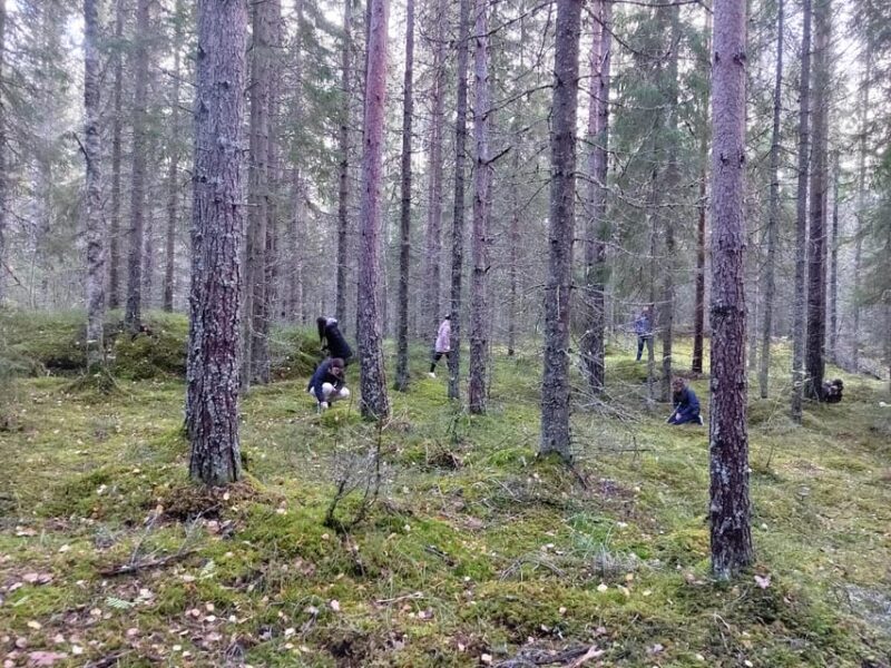 Kintulammi Nature Experience (Nature reserve near Tampere) - Practical Details and Logistics