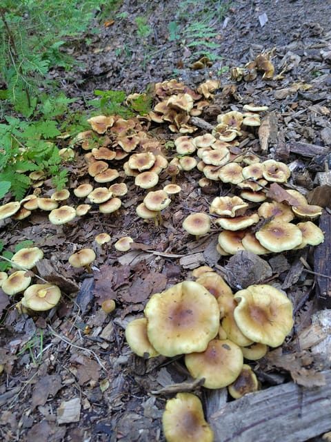 Kintulammi Nature Experience (Nature reserve near Tampere) - Final Thoughts