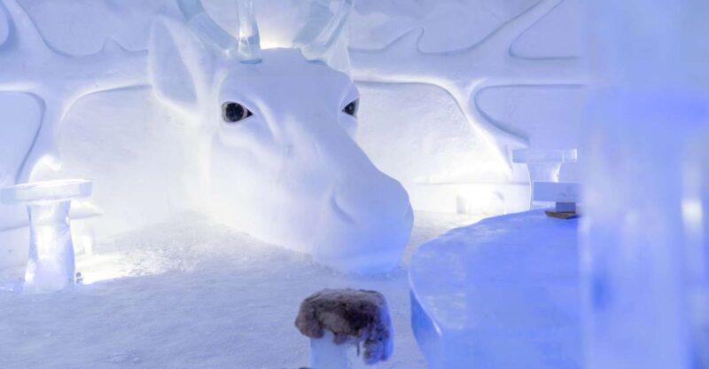 Kirkenes: Snowhotel Entrance Ticket - Key Points
