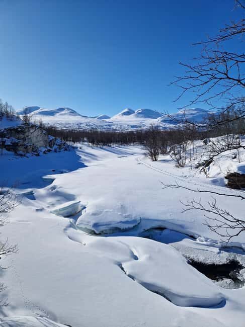 Kiruna: Abisko National Park Snowshoe Hike with Lunch - Key Points