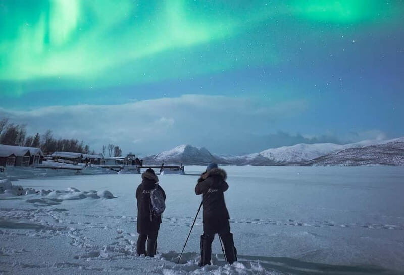 Kiruna: Abisko Northern Lights Tour with Dinner - Key Points