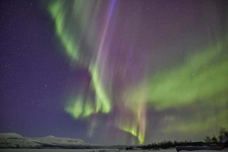Kiruna: Abisko Northern Lights Tour with Dinner - A Deep Dive into the Experience