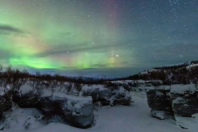Kiruna: Abisko Northern Lights Tour with Dinner - What the Reviews Say