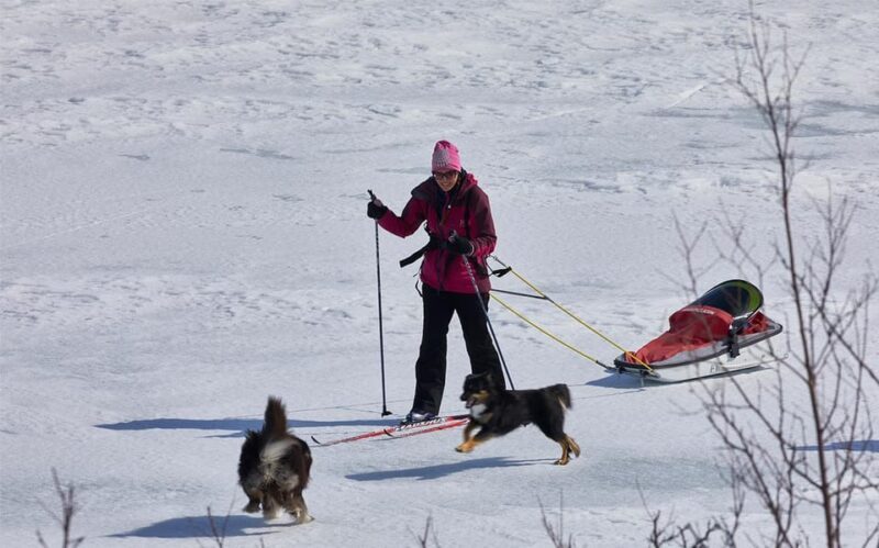 Kiruna: Cross-Country Skiing Tour with a Guide - Who Is This Tour Best For?