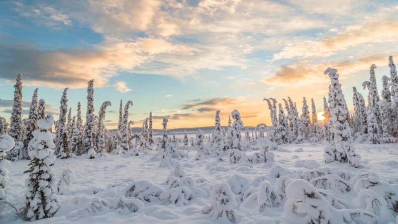 Kiruna: Daytime Snowmobile Adventure in Lapland - The Ride Itself: What to Expect