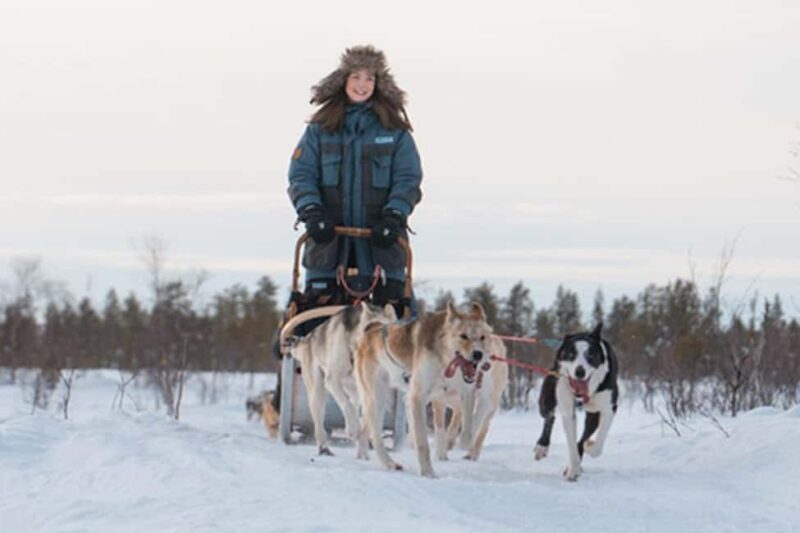 Kiruna: Drive Your Own Team Lunch Tour - Kiruna: Drive Your Own Team Lunch Tour – An Honest Take