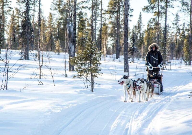 Kiruna: Drive Your Own Team Lunch Tour - Key Points