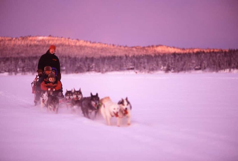 Kiruna: Family-friendly Short Husky Tour with Coffee - What Do the Reviews Say?