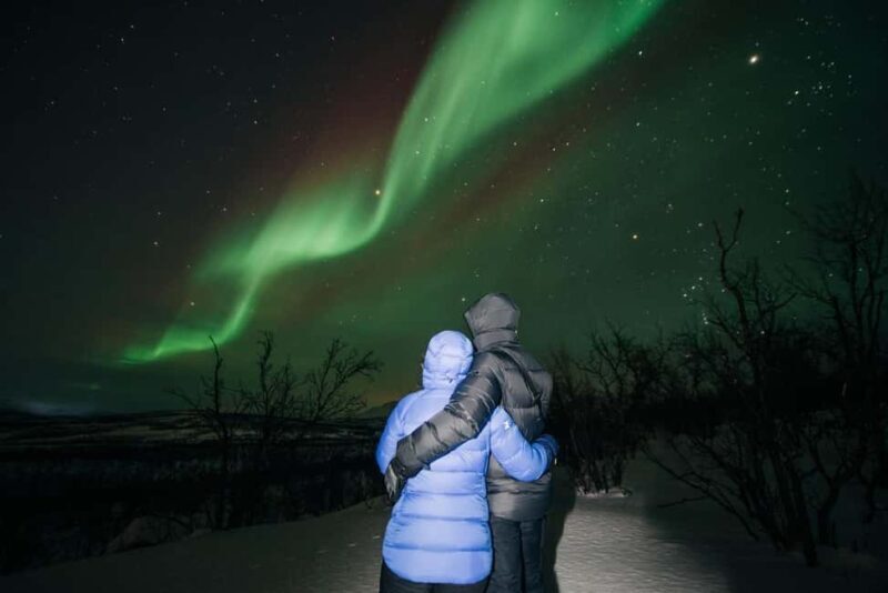 Kiruna: Northern Lights Chase with Car - The Experience in Real Life (Based on Reviews)