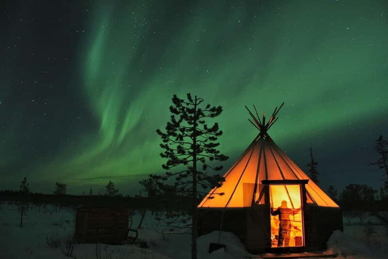 Kiruna: Northern Lights Dog Sled Tour with Swedish Fika - Key Points