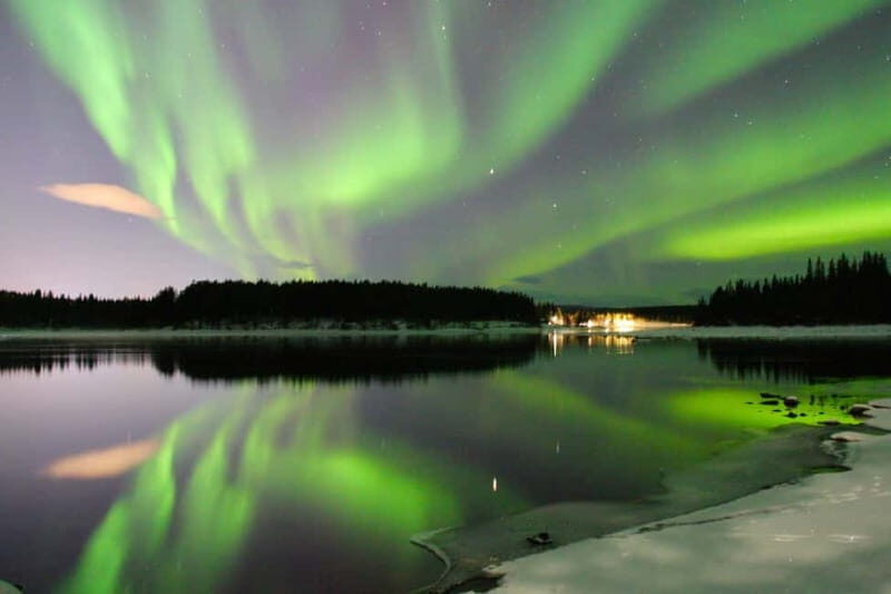 Kiruna: Northern Lights Dog Sled Tour with Swedish Fika - What to Expect on this Dog Sled Tour