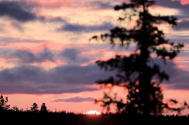 Kiruna: Northern Lights Dog Sled Tour with Swedish Fika - The Logistics: What’s Included and What’s Not