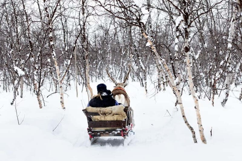 KIRUNA: Reindeer Sled Ride in the Countryside - Key Points