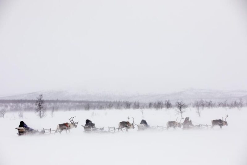 KIRUNA: Reindeer Sled Ride in the Countryside - FAQs