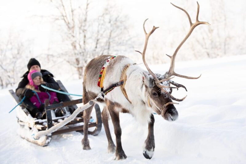 KIRUNA: Sami Reindeer Experience - Key Points