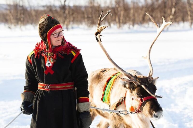 KIRUNA: Sami Reindeer Experience - What to Expect from the Tour