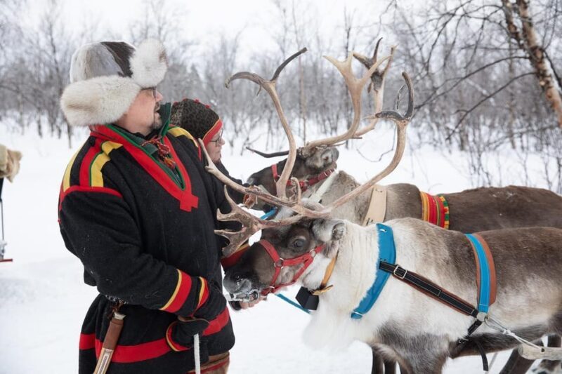 KIRUNA: Sami Reindeer Experience - A Closer Look at the Activities
