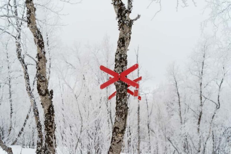 Kiruna: Small Group Snowmobile with Snacks - An Honest Look at the Kiruna Snowmobile Tour