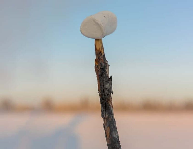 Kiruna: Snowshoe Hike & Ice fishing Tour - Exploring the Kiruna Snowshoe Hike & Ice Fishing Tour: An Honest Look