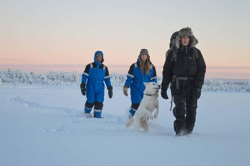 Kiruna: Snowshoe Hike & Ice fishing Tour - Key Points