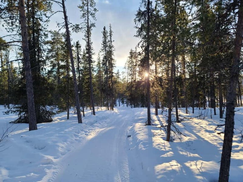 Kiruna: Snowshoe Trek with Warm Beverage and Sandwich - Final Thoughts: Is This Tour Right for You?