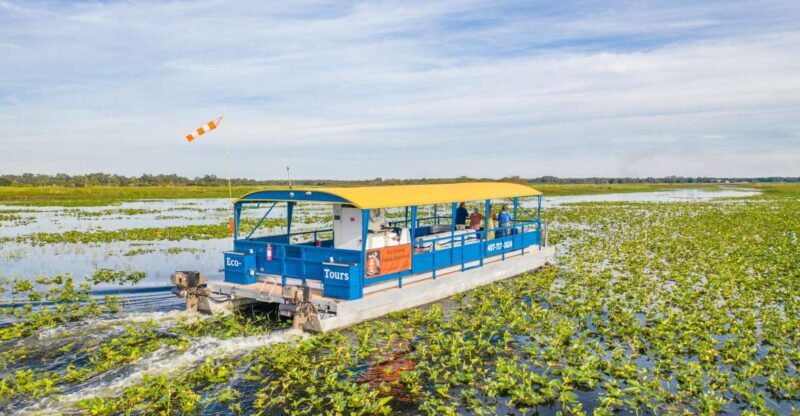 Kissimmee: 1 Hour Florida Everglades Pontoon Boat Tour - Key Points