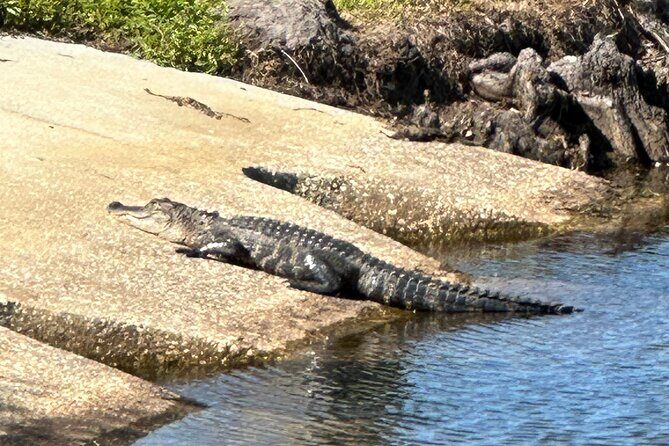 Kissimmee and St. Cloud Beach Tour on All Electric Trike (3 hrs.) - FAQ