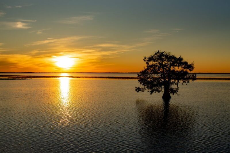 Kissimmee: Boggy Creek Sunset Airboat Tour - What to Expect from the Tour