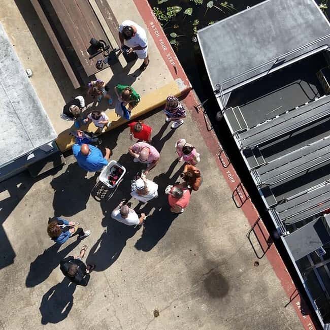 Kissimmee: Everglades Alligator and Wildlife Airboat Tour - FAQ