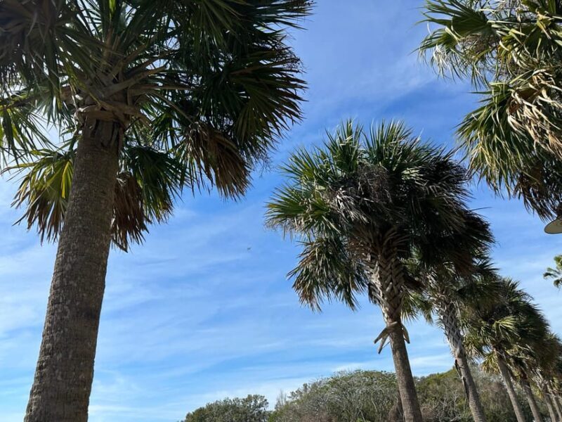 Kissimmee: Explore Lakefront Adventure on Electric Trike - Final Thoughts